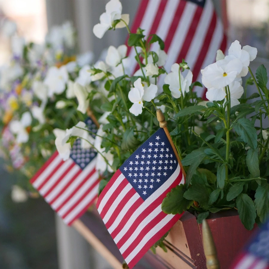 4th of July celebration